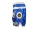 Short Muay Thai Enfants Lumpinee : LUM-015-K